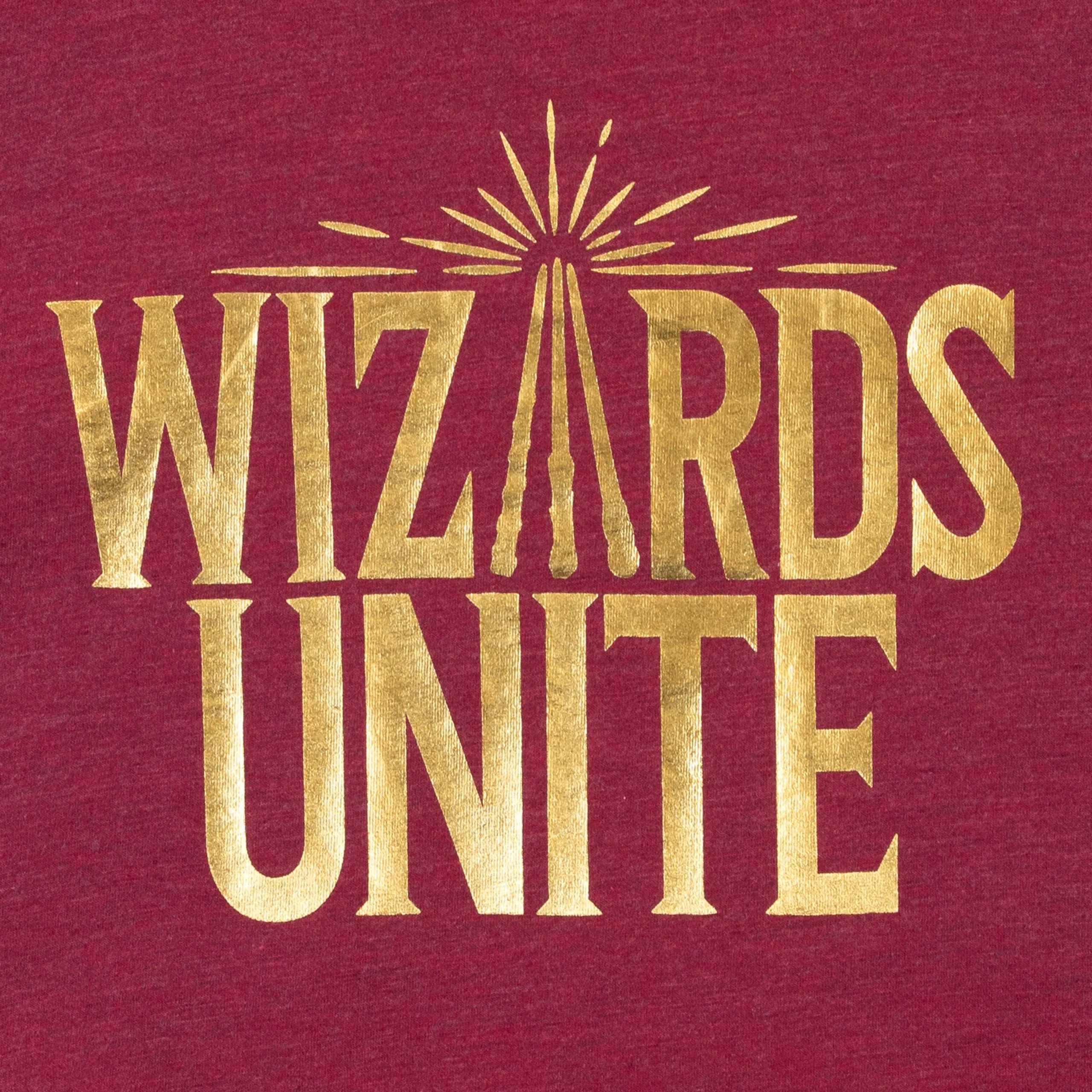 Harry Potter Crop T-Shirt